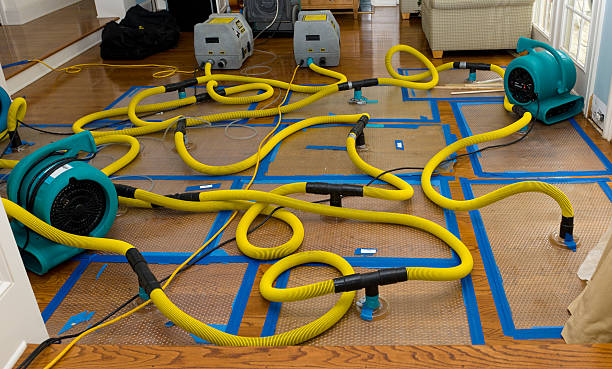 Professional Crawl Space Water Removal technician working in Campobello, SC